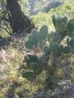 thumbs/041030_Mexico 105.jpg